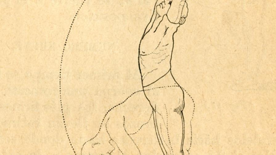 Libro de gimnasia